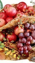 Pommes,Nourriture,Fruits,Cépages pour Nokia Asha 200