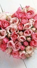 Télécharger une image Fêtes,Plantes,Fleurs,Roses,Cœurs,Saint Valentin,Bouquets pour le portable gratuitement.