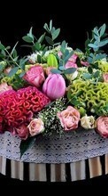 Télécharger une image Plantes,Fleurs,Contexte,Bouquets pour le portable gratuitement.