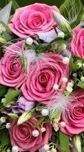 Télécharger une image Plantes,Fleurs,Contexte,Roses,Bouquets pour le portable gratuitement.
