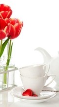 Télécharger une image Bouquets,Fleurs,Contexte,Plantes,Tulipes pour le portable gratuitement.