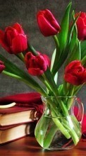 Télécharger une image Tulipes,Bouquets,Livres,Still life,Plantes,Fleurs pour le portable gratuitement.