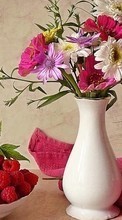 Télécharger une image Plantes,Fleurs,Bouquets,Still life pour le portable gratuitement.