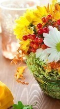 Télécharger une image Bouquets,Fleurs,Objets pour le portable gratuitement.