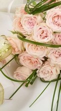 Télécharger une image Plantes,Fleurs,Roses,Bouquets,Mariage,Fêtes pour le portable gratuitement.