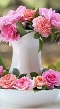 Télécharger une image Fleurs,Roses,Bouquets,Plantes pour le portable gratuitement.