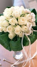 Fêtes,Plantes,Fleurs,Roses,Bouquets,Mariage pour HTC One XL