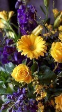 Plantes,Fleurs,Bouquets pour HTC ChaCha