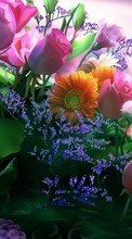 Télécharger une image Plantes,Fleurs,Bouquets pour le portable gratuitement.