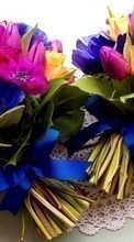 Télécharger une image Bouquets,Plantes,Fleurs pour le portable gratuitement.