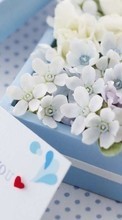 Bouquets,Fleurs,Plantes pour Xiaomi Redmi Note 2