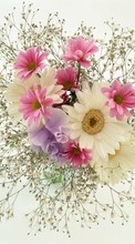 Bouquets,Fleurs,Plantes pour HTC One mini