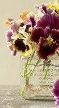 Télécharger une image Bouquets,Fleurs,Plantes pour le portable gratuitement.