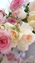 Plantes,Fleurs,Roses,Bouquets pour HTC Legend