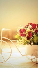 Télécharger une image Bouquets,Plantes,Fleurs,Roses pour le portable gratuitement.