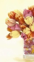 Télécharger une image Bouquets,Fleurs,Plantes,Tulipes pour le portable gratuitement.