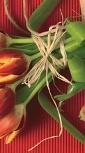 Bouquets,Fleurs,Plantes,Tulipes pour HTC Rhyme