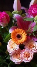 Télécharger une image Bouquets,Fleurs,Animaux pour le portable gratuitement.