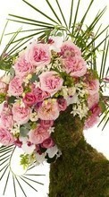Télécharger une image Fêtes,Plantes,Roses,Bouquets pour le portable gratuitement.