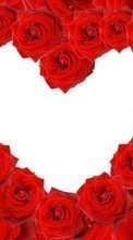Télécharger une image Fêtes,Fleurs,Contexte,Roses,Cœurs,Saint Valentin pour le portable gratuitement.