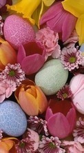 Télécharger une image Plantes,Fleurs,Contexte,Eggs,De Pâques pour le portable gratuitement.