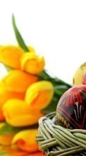 Télécharger une image Fleurs,Eggs,De Pâques,Fêtes pour le portable gratuitement.