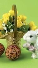 Télécharger une image 240x400 Fleurs,Eggs,De Pâques,Fêtes,Plantes pour le portable gratuitement.