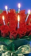 Télécharger une image Fêtes,Fleurs,Roses pour le portable gratuitement.