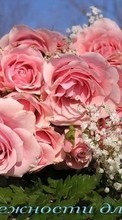 Télécharger une image 128x160 Fêtes,Plantes,Fleurs,Roses pour le portable gratuitement.