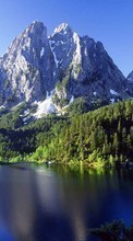 Paysage,Arbres,Montagnes,Lacs pour Xiaomi Mi 11