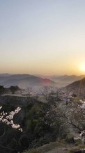 Paysage,Arbres,Coucher de soleil,Montagnes pour Sony Xperia L