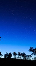 Nuit,Lune,Paysage,Arbres,Sky pour Huawei Ascend G700