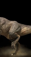 Télécharger une image Animaux,Dinosaures pour le portable gratuitement.