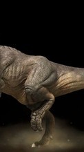 Télécharger une image Dinosaures,Animaux pour le portable gratuitement.
