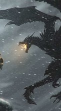 Télécharger une image Jeux,Dragons,The Elder Scrolls pour le portable gratuitement.