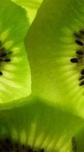 Télécharger une image 240x320 Fruits,Nourriture,Contexte,Kiwi pour le portable gratuitement.