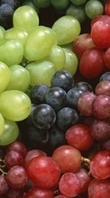 Télécharger une image 1080x1920 Fruits,Nourriture,Contexte,Cépages pour le portable gratuitement.