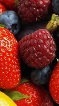 Télécharger une image Fruits,Nourriture,Fraise,Framboise,Ronce pour le portable gratuitement.