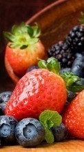 Télécharger une image Fruits,Nourriture,Fraise,Ronce pour le portable gratuitement.