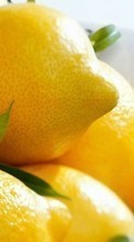 Télécharger une image 360x640 Fruits,Nourriture,Citrons pour le portable gratuitement.