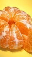 Télécharger une image Fruits,Nourriture,Mandarines pour le portable gratuitement.
