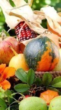 Télécharger une image Nourriture,Fruits,Légumes pour le portable gratuitement.
