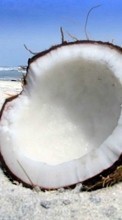 Télécharger une image Nourriture,Coconuts pour le portable gratuitement.