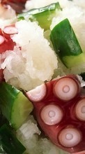 Télécharger une image Nourriture,Salades pour le portable gratuitement.
