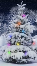 Télécharger une image Sapins,Noël,Fêtes,Nouvelle Année,Neige pour le portable gratuitement.