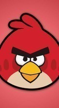 Télécharger une image Jeux,Contexte,Angry Birds pour le portable gratuitement.