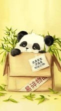 Télécharger une image Contexte,Pandas,Animaux pour le portable gratuitement.
