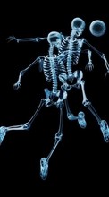 Télécharger une image Contexte,Skeletons pour le portable gratuitement.