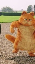 Télécharger une image Humour,Dessin animé,Chats,Garfield pour le portable gratuitement.