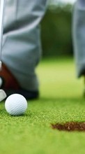 Télécharger une image Golf,Sport pour le portable gratuitement.